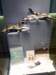 p1090411a_small.jpg
