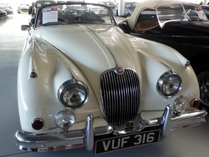 p1090442a.jpg